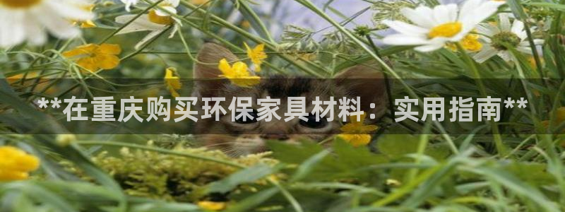 杏耀平台线路