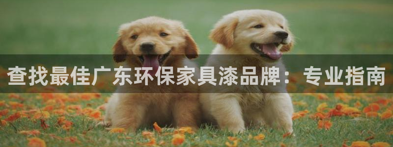 杏耀手机客户端