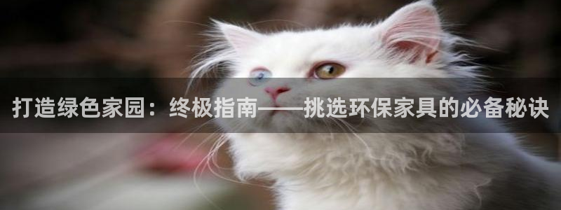 杏耀平台测速登录