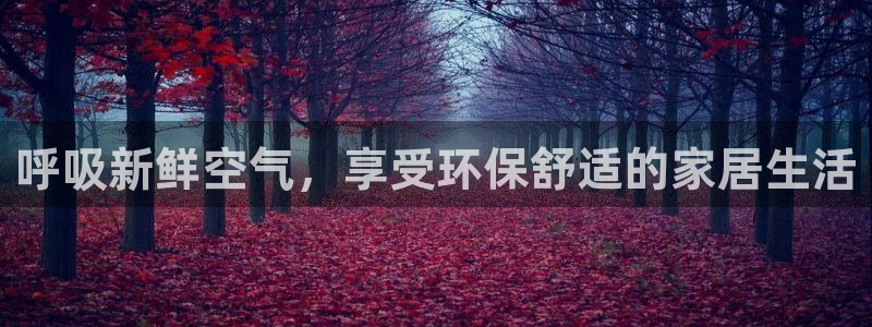杏耀平台服务中心怎么样