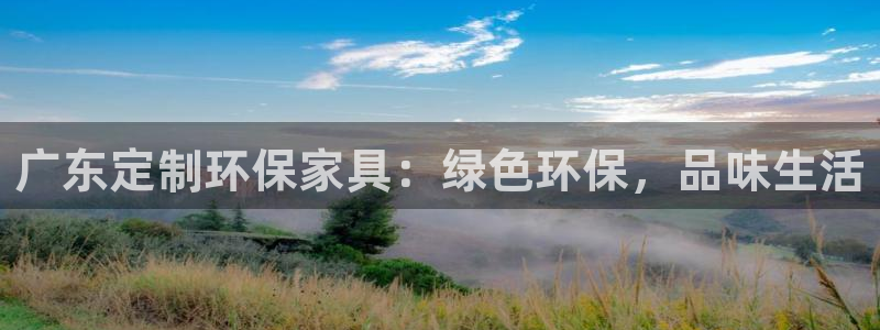 杏耀平台手机登录：广东定制环保家具：绿色环保，品味生活