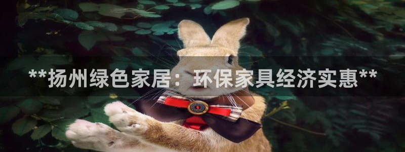 杏耀代理连接：**扬州绿色家居：环保家具经济实惠**