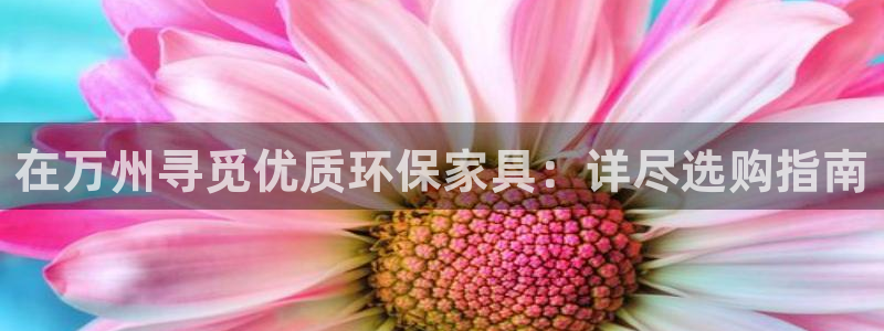 杏耀注册主管：在万州寻觅优质环保家具：详尽选购指南