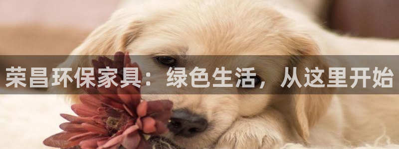 杏耀平台的专用通道