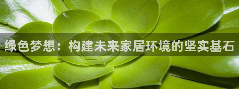 杏耀平台测速地址