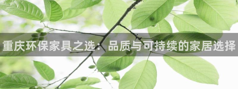 杏耀平台代理登录网址查询：重庆环保家具之选：品质与可持续的家