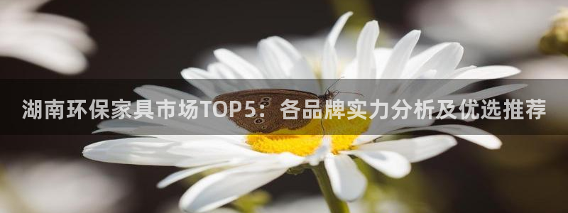 杏耀平台注册：湖南环保家具市场TOP5：各品牌实力分析及优选