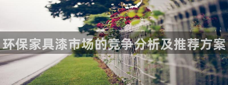 杏耀平台登录方式：环保家具漆市场的竞争分析及推荐方案