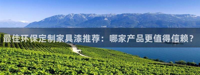 杏耀平台服务中心：最佳环保定制家具漆推荐：哪家产品更值得信赖