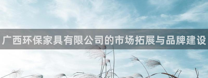 杏耀是什么平台：广西环保家具有限公司的市场拓展与品牌建设
