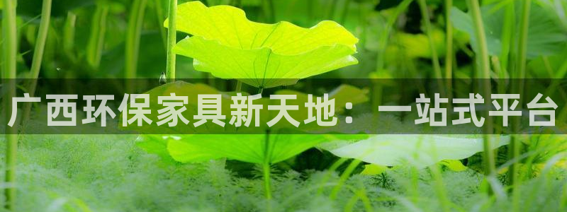 杏耀平台服务中心怎么样