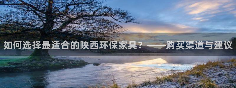 杏耀管网登录：如何选择最适合的陕西环保家具？——购买渠道与建