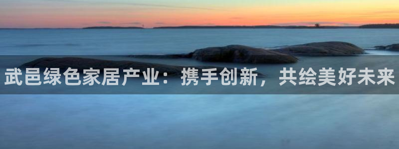 杏耀是什么平台：武邑绿色家居产业：携手创新，共绘美好未来
