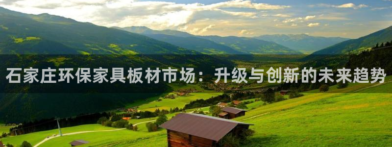 杏耀平台代理怎么赚钱：石家庄环保家具板材市场：升级与创新的未